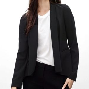 Aritzia Babaton Dominick Blazer